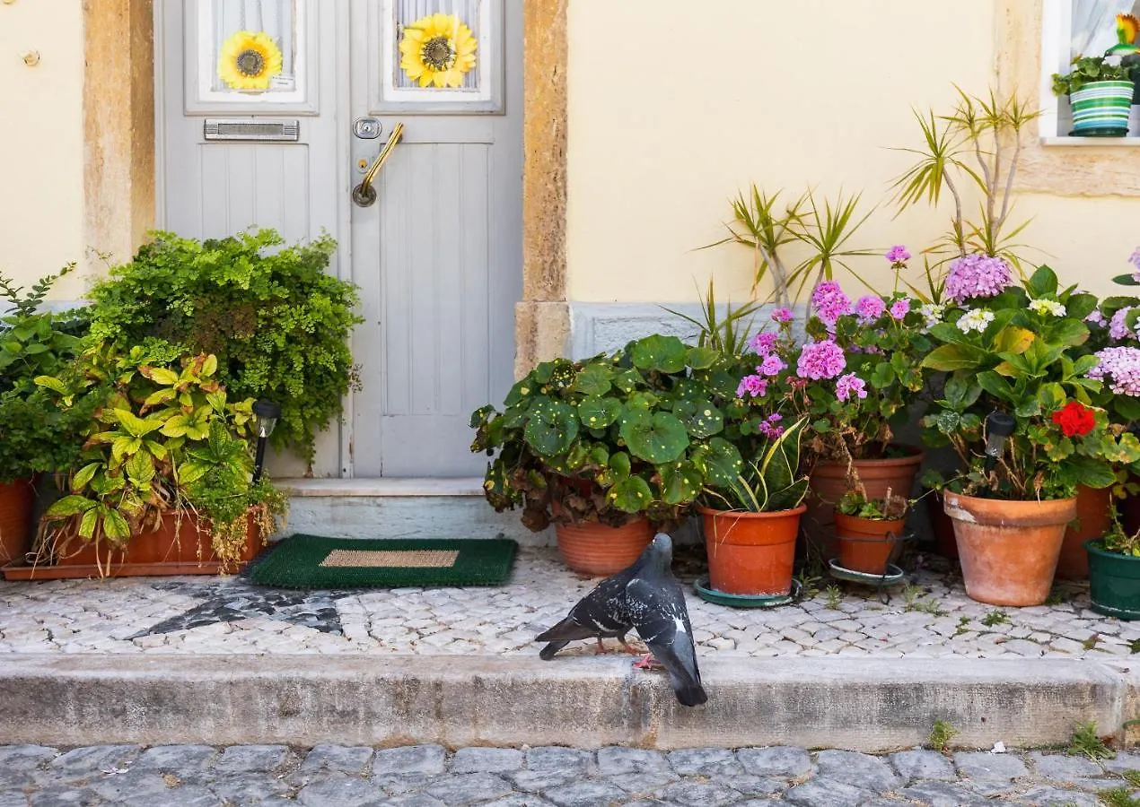 The Sunset Hideout Apartment Lisbon